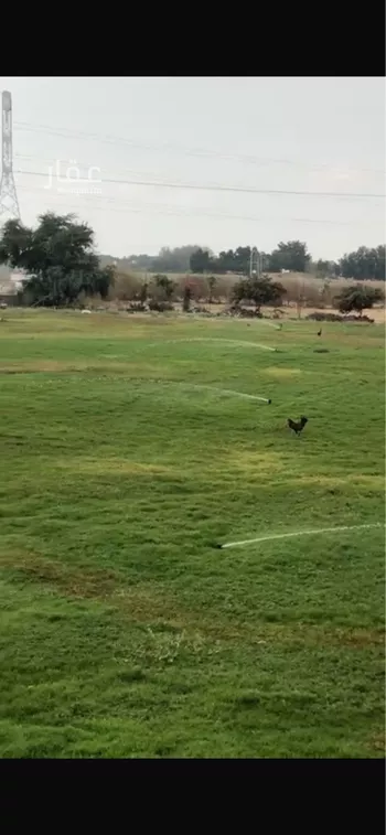 استراحة للبيع في شارع الفقهاء, حي الفقهاء, مدينة جازان, منطقة جازان صورة 4