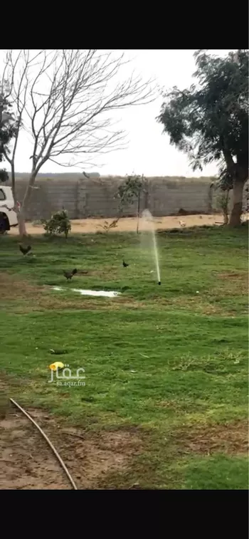 استراحة للبيع في شارع الفقهاء, حي الفقهاء, مدينة جازان, منطقة جازان صورة 5