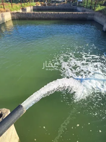 مزرعة للبيع في حي المليليح, مدينة المدينه المنوره, منطقة المدينة المنورة