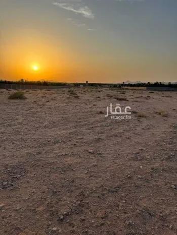 أرض للإيجار في مدينة الشعفه, منطقة حائل صورة 3