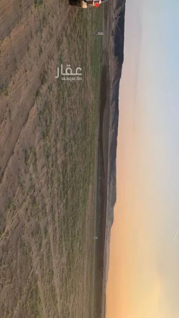 أرض للبيع في شارع 9234825, حي الوداد, مدينة جدة, منطقة مكة المكرمة صورة 2
