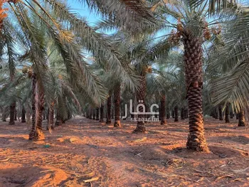 مزرعة للبيع في حي مزارع القطع, مدينة مزارع القطع, منطقة القصيم صورة 4