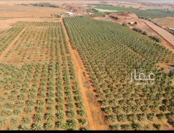 مزرعة للبيع في حي مزارع القطع, مدينة مزارع القطع, منطقة القصيم صورة 2