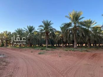 مزرعة للبيع في حي مزارع القطع, مدينة مزارع القطع, منطقة القصيم صورة 3