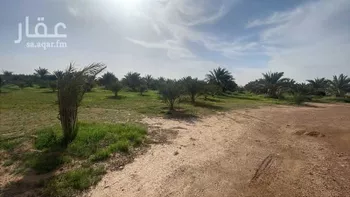 مزرعة للبيع في شارع زراعي, مدينة جلاجل, منطقة الرياض صورة 3