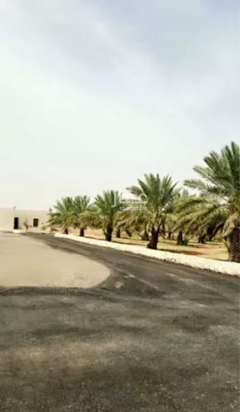 مزرعة للبيع في شارع جلاجل 21, مدينة جلاجل, منطقة الرياض صورة 3