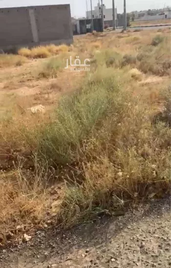 أرض للإيجار في شارع الحزم ، حي النخيل ، البكيرية ، البكيرية صورة 4