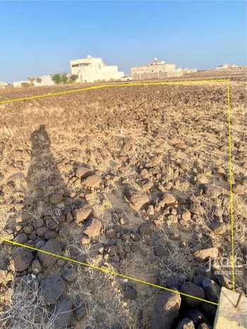 أرض للبيع في حي الحريضه, مدينة الحريضه, منطقة عسير صورة 2