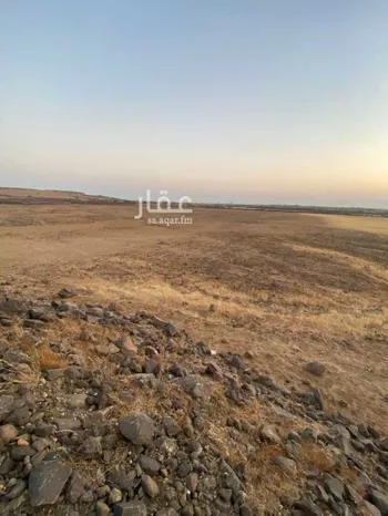 أرض للبيع في حي الحريضه, مدينة الحريضه, منطقة عسير صورة 3