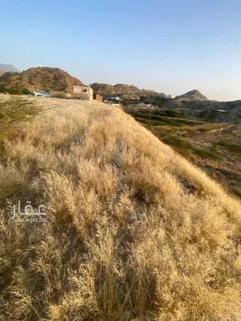 أرض للبيع في حي الفيصلية, مدينة رجال المع, منطقة عسير صورة 5