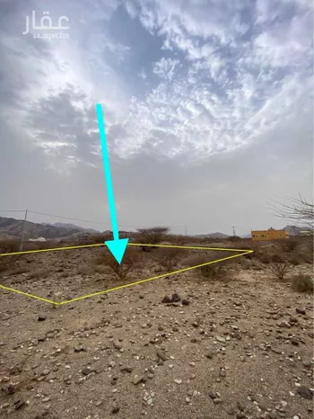 أرض للبيع في حي الروضة, مدينة رجال المع, منطقة عسير صورة 4