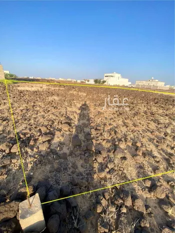أرض للبيع في حي الحريضه, مدينة الحريضه, منطقة عسير صورة 3
