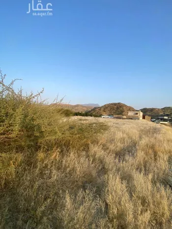 أرض للبيع في حي الفيصلية, مدينة رجال المع, منطقة عسير صورة 4