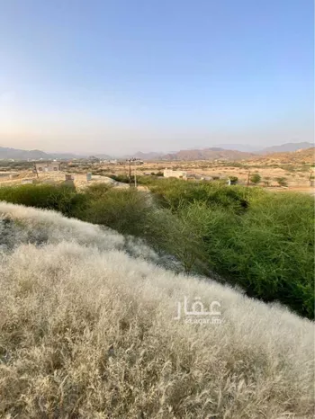 أرض للبيع في حي الفيصلية, مدينة رجال المع, منطقة عسير