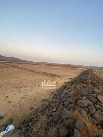 أرض للبيع في حي الحريضه, مدينة الحريضه, منطقة عسير