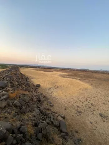 أرض للبيع في حي الحريضه, مدينة الحريضه, منطقة عسير صورة 4