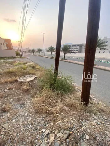 أرض للبيع في حي الحيلة الشرقي, مدينة محائل, منطقة عسير صورة 3