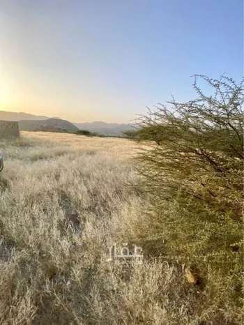 أرض للبيع في حي الفيصلية, مدينة رجال المع, منطقة عسير صورة 3