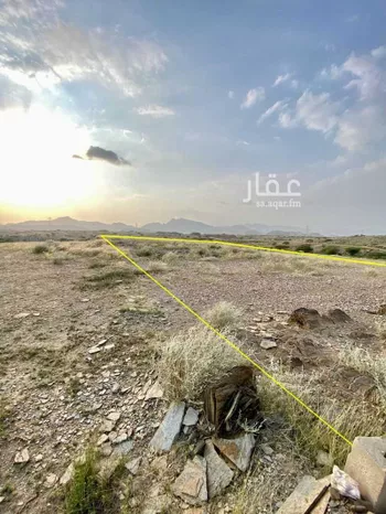 أرض للبيع في حي لصوب, مدينة لصوب, منطقة عسير صورة 5