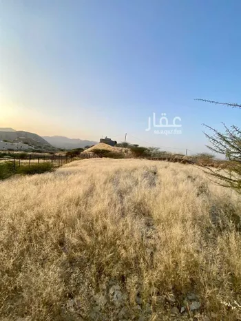 أرض للبيع في حي الفيصلية, مدينة رجال المع, منطقة عسير صورة 2