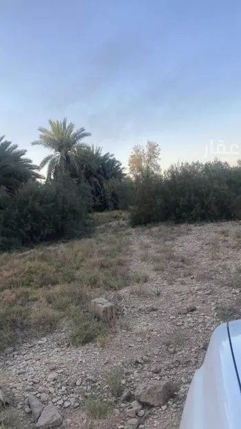 مزرعة للبيع في شارع ثابت بن زيد ، حي الحائر ، الرياض ، منطقة الرياض صورة 2