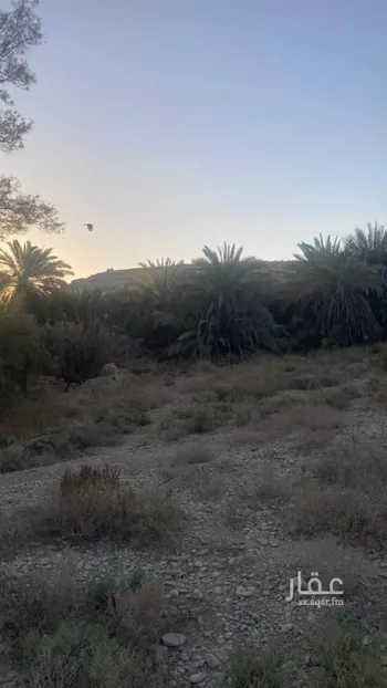 مزرعة للبيع في شارع ثابت بن زيد ، حي الحائر ، الرياض ، منطقة الرياض صورة 3