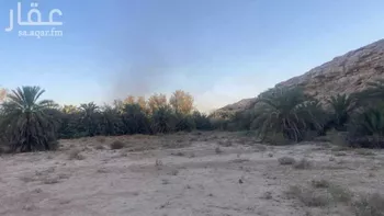 مزرعة للبيع في شارع ثابت بن زيد ، حي الحائر ، الرياض ، منطقة الرياض صورة 5