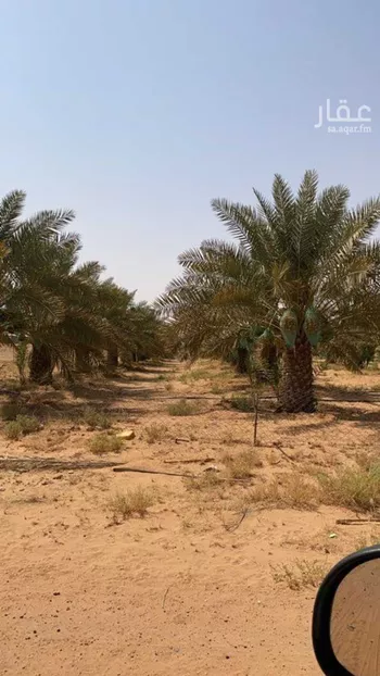 مزرعة للبيع في مدينة الحمضه, منطقة الرياض صورة 3
