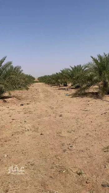 مزرعة للبيع في مدينة الحمضه, منطقة الرياض صورة 2
