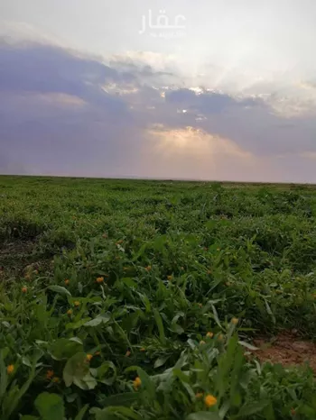 أرض للبيع في شارع محمد بن الهيثم بن شبابه, حي الصفاء, مدينة الرياض, منطقة الرياض صورة 2