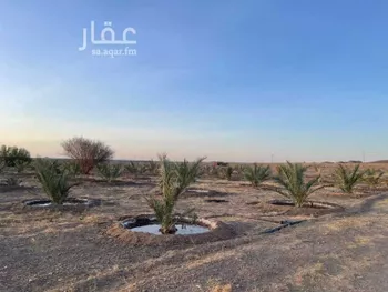 مزرعة للبيع في غراب ، منطقة المدينة المنورة صورة 2