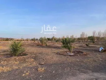 مزرعة للبيع في غراب ، منطقة المدينة المنورة صورة 3
