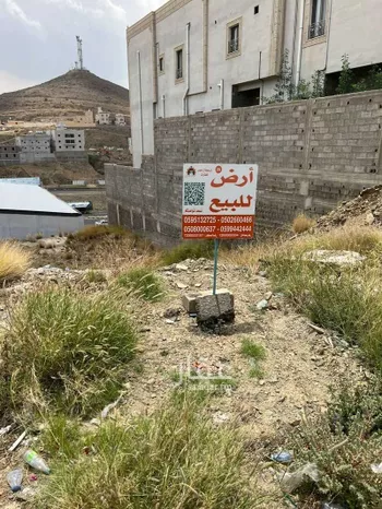 أرض للبيع في شارع المسفرة, حي المصيف, مدينة ابها, منطقة عسير صورة 2