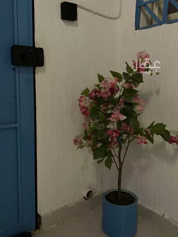 شقة مفروشة للحجز في شارع المليسان ، حي اليرموك ، الرياض ، منطقة الرياض صورة 4