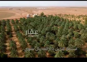 مزرعة للبيع في شارع الفروثي, مدينة الفروثى, منطقة الرياض صورة 3