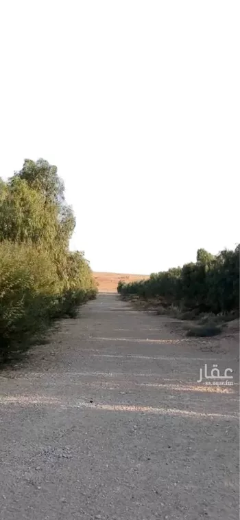 مزرعة للبيع في شارع صلاصل , حي الرافعيه, مدينة الرافعيه, المنطقة الشرقية صورة 2