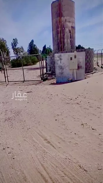 مزرعة للبيع في شارع صلاصل , حي الرافعيه, مدينة الرافعيه, المنطقة الشرقية صورة 3