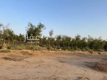 أرض للإيجار في مدينة زميقه, منطقة الرياض