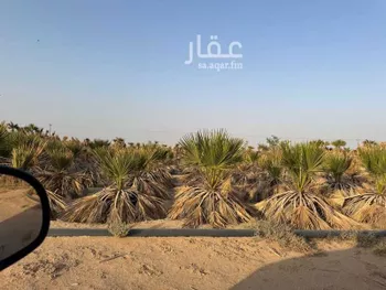 أرض للإيجار في مدينة زميقه, منطقة الرياض صورة 5