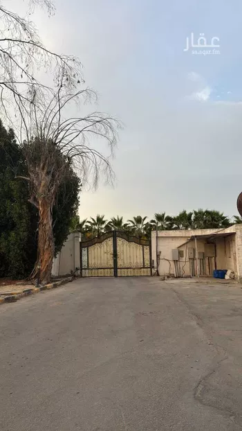 أرض للإيجار في شارع القطيف 364, حي ج19, مدينة القطيف, المنطقة الشرقية صورة 4