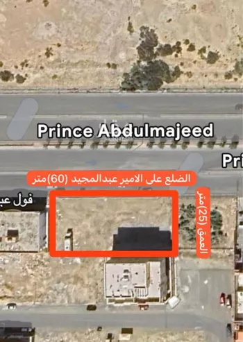 أرض للإيجار في شارع شارع الأمير عبد المجيد, حي الشراع, مدينة جدة, منطقة مكة المكرمة صورة 4