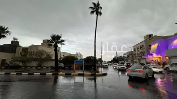 أرض للبيع في شارع الردف, حي السداد, مدينة امارة منطقة مكة المكرمة - الطائف, منطقة مكة المكرمة صورة 3