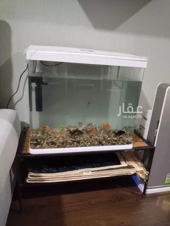 استديو مفروش للحجز في شارع رقم 120 ، حي النرجس ، الرياض ، منطقة الرياض صورة 4