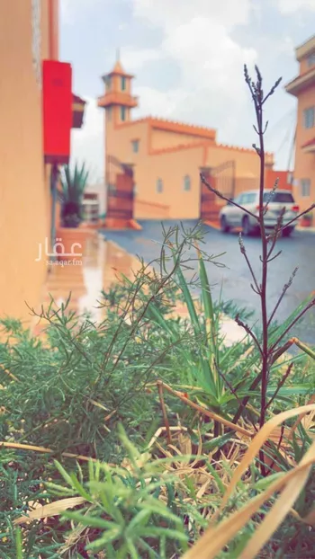 عمارة للإيجار في شارع الصليحى 212, مدينة ال بالعلاء, منطقة عسير صورة 3