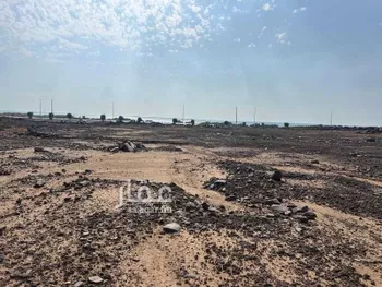 أرض للبيع في حي الحره, مدينة الحره, منطقة عسير صورة 3