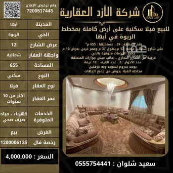 فيلا للبيع في شارع عين شمس, حي الربوة, مدينة ابها, منطقة عسير