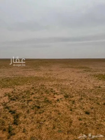 مزرعة للبيع في شارع الملك خالد , حي بقعاء الشرقية القديمة, مدينة بقعاء, منطقة حائل صورة 3