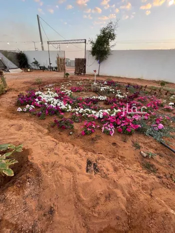 مخيم للحجز في شارع هجره الذيبيه وخضراء, الذيبية صورة 2
