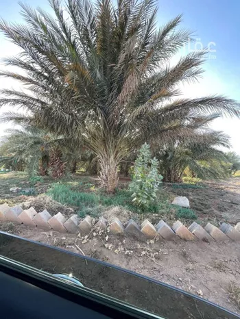 مزرعة للبيع في حي العاقول, مدينة المدينه المنوره, منطقة المدينة المنورة صورة 3
