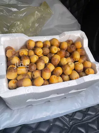 مزرعة للبيع في حي العاقول, مدينة المدينه المنوره, منطقة المدينة المنورة
